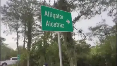South Florida organizations urge Miami-Dade leaders to sue state over ‘Alligator Alcatraz’