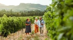 Vineyard owners use Gospel of John metaphor to guide winemaking philosophy