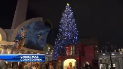 Vatican unveils Nativity scene, lights Christmas tree in St. Peter’s Square
